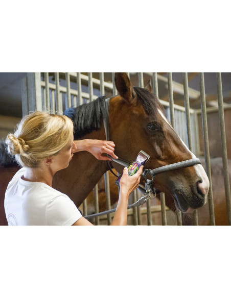 Tondeuse De Finition Heiniger Saphir Style Sans Fil