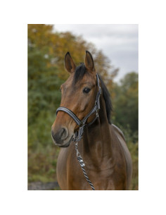 Licol-Longe-Norton-Brillant-Noir-Gris-Argenté