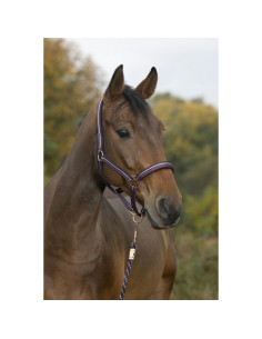 Licol-Longe-Norton-Brillant-Noir-Gris-Argenté 2