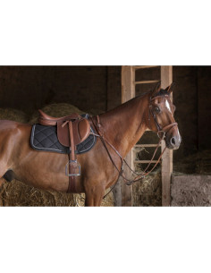 Sangle-Combinée-Eric-Thomas-Hybrid 2