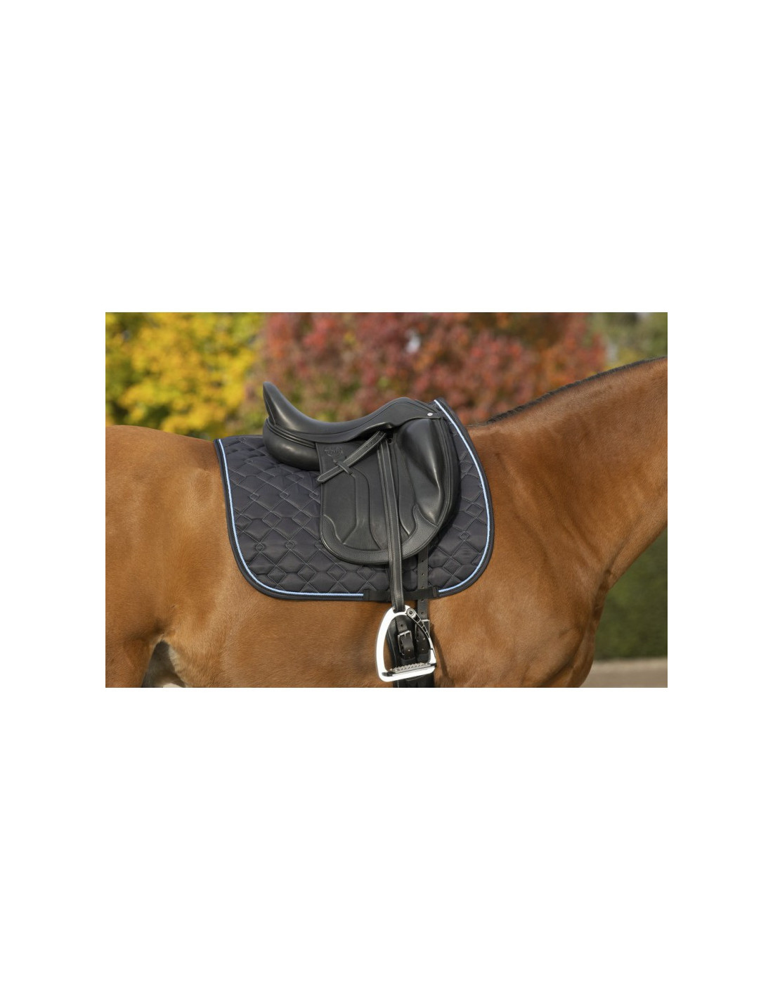 Selle Cheval Freemax 17 Pouces - Sans Arçon - Microfibre Marron - Wonder Wish