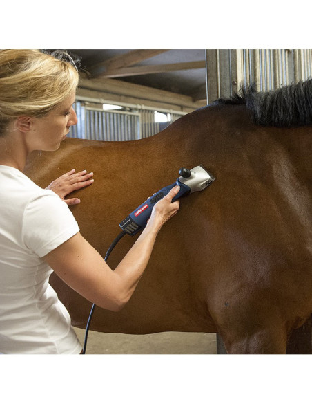 Tondeuse-Heiniger-xperience