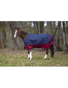 Equithème "Tyrex 1200 D" 50g Turnout Rug