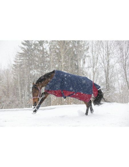 Couverture Equithème "Tyrex 1200 D" 150grs