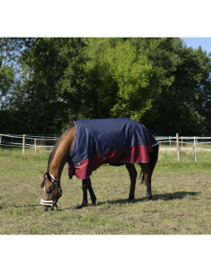 Equithème "Tyrex 1200 D" 300g Turnout Rug 2