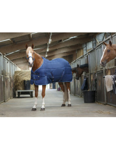 Riding World Stable Rug 2