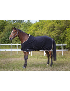 Chemise Polaire Equithème "Polyfun"