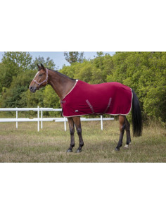 Chemise Polaire Equithème "Polyfun" 2