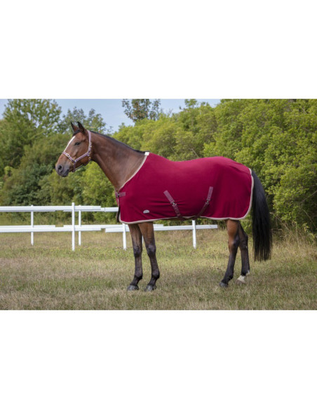 Chemise Polaire Equithème "Polyfun"