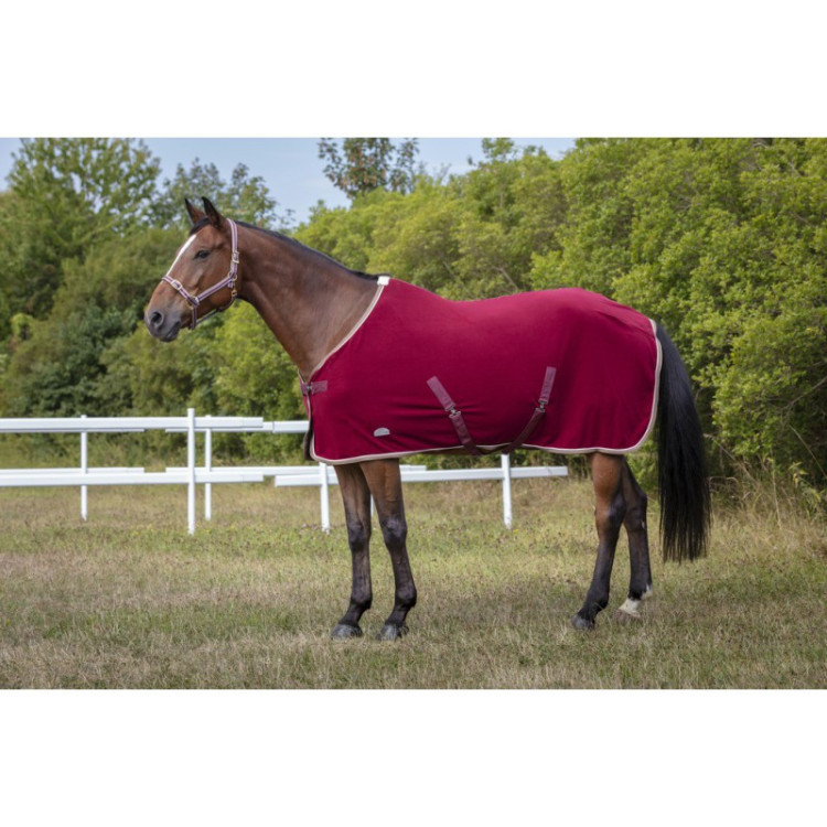 Chemise Polaire Equithème "Polyfun"