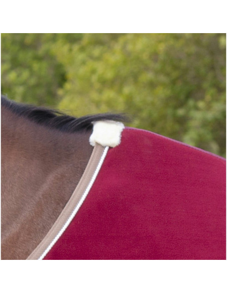 Chemise Polaire Equithème "Polyfun"