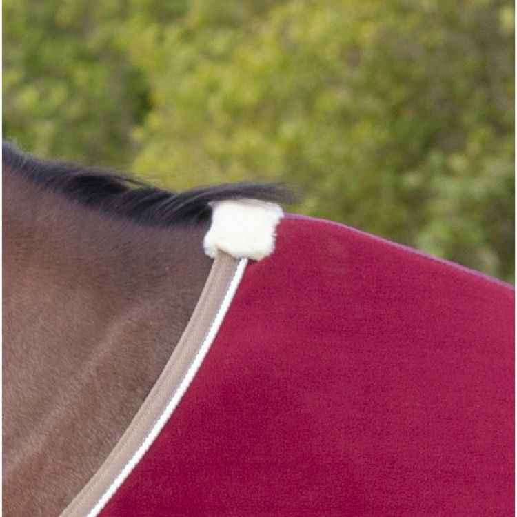 Chemise Polaire Equithème "Polyfun"