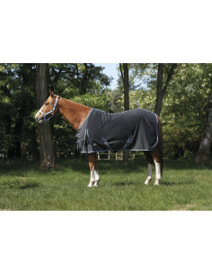 Chemise Polycoton Equithème