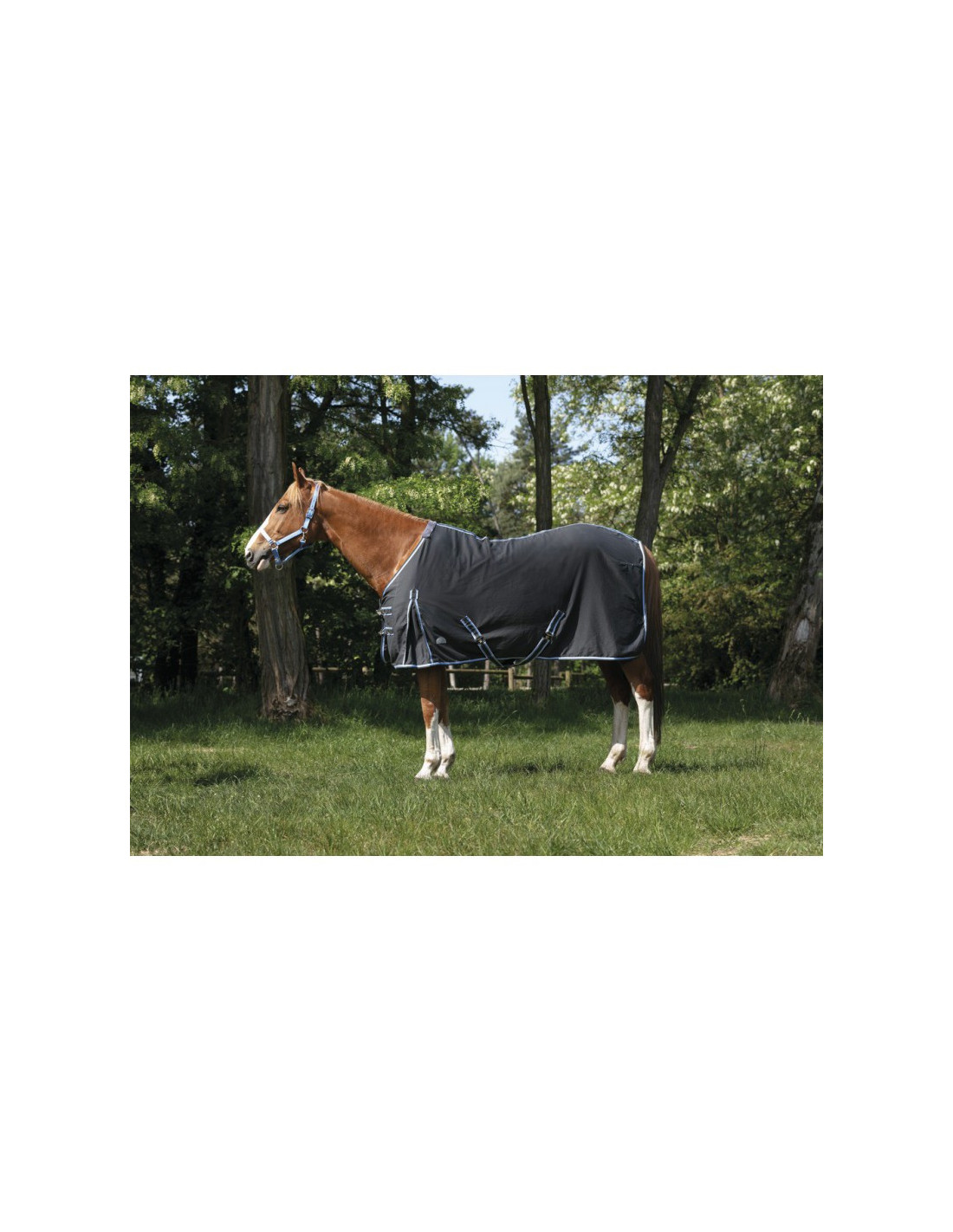 Chemise pour femme élégante en viscose pure motif solide en noir bureau et tenue