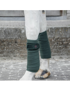 Bandes Kentucky De Polo Velvet Pearls noir 2