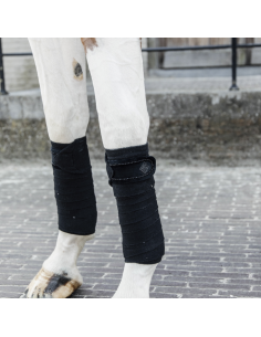 Bandes Kentucky De Polo Velvet Pearls noir 2