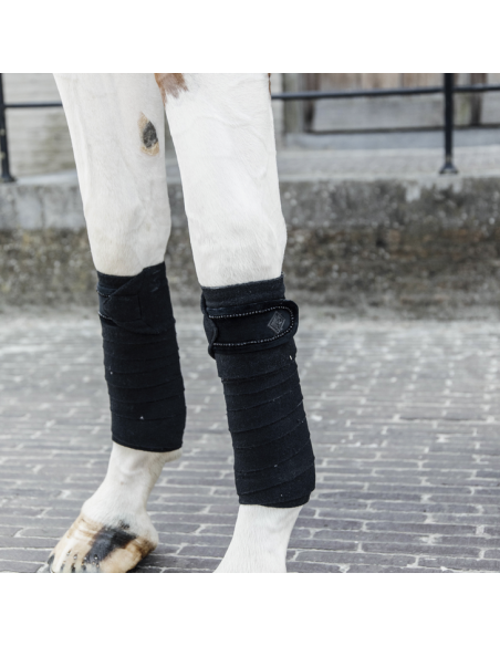 Bandes Kentucky De Polo Velvet Pearls noir