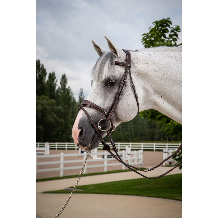 Bridon Dy'on Muserolle Combinée Anatomique brun