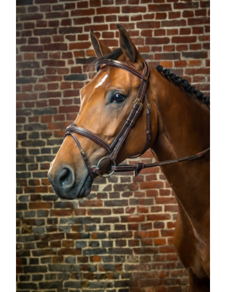 Bridon Dy'on Muserolle Combinée D Collection