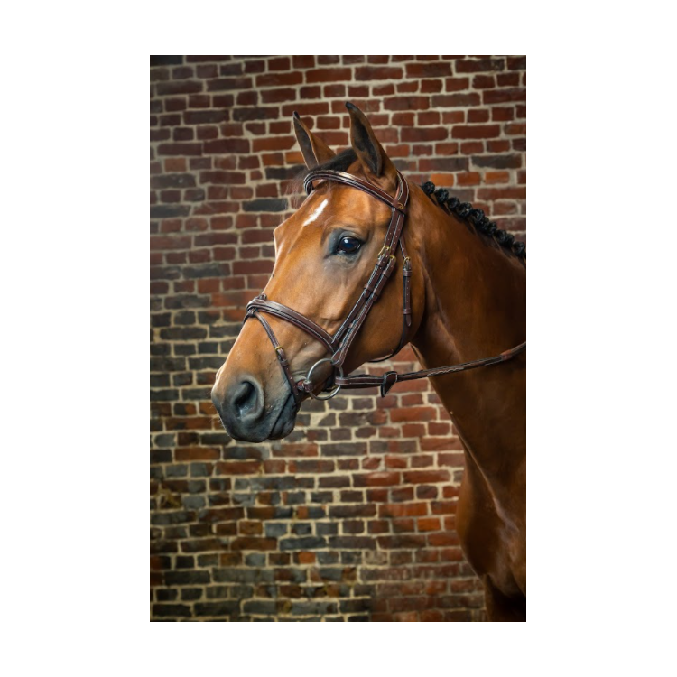 Bridon Dy'on Muserolle Combinée D...