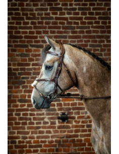 Bridon Dy'on Muserolle Croisée noir 2