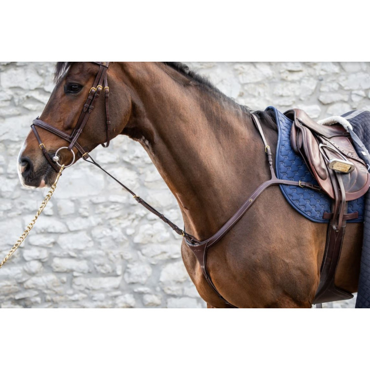 Fourchette De Martingale Dy'on Fixe brun