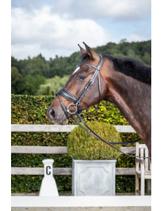 Bridon Dy'on NEC Muserolle Combinée Large Cuir Mat Dressage noir