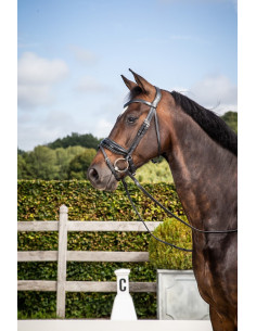 Bridon Dy'on NEC Muserolle Combinée Large Vernie NEC Dressage 2