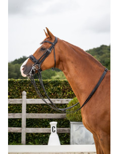 Dy'on NEC Wide Noseband...