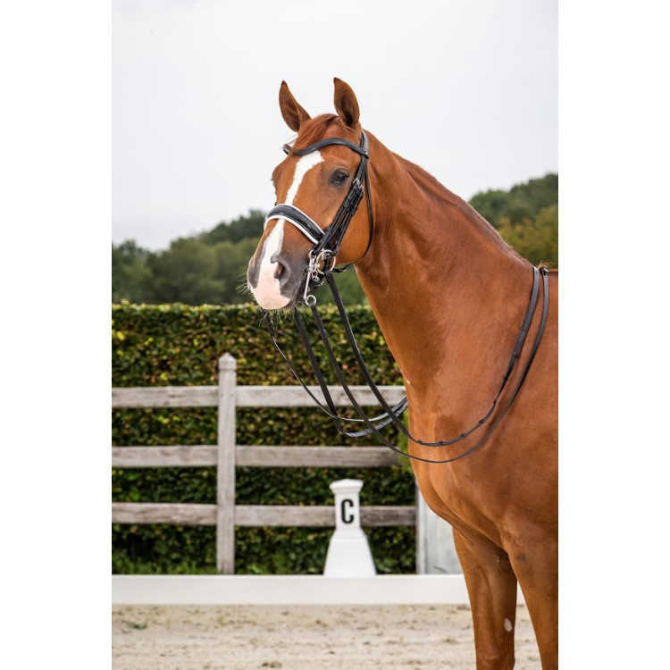 Bride Dy'on NEC Muserolle Large Cuir Vernis Doublure Blanche Dressage noir