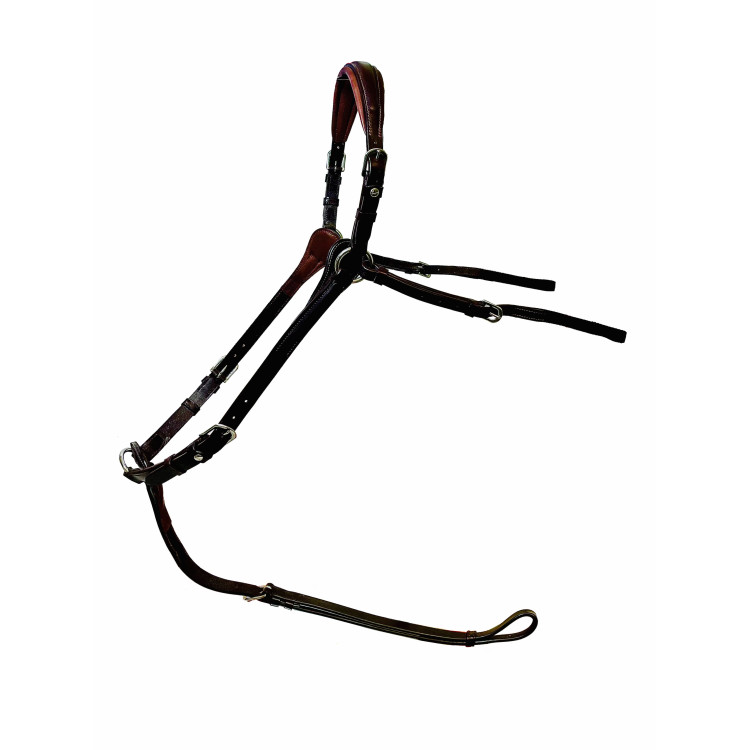 Collier De Chasse Silver Crown Code 01 châtaigne