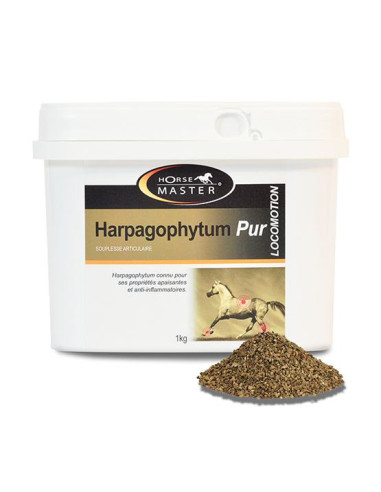 Harpagophytum Pur Horse Master