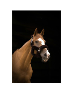 Licol Equithème Teddy