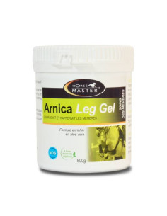 Gel Horse Master Arnica Leg