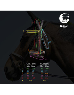 Bridon IHWT Evolution Soft T havane 2