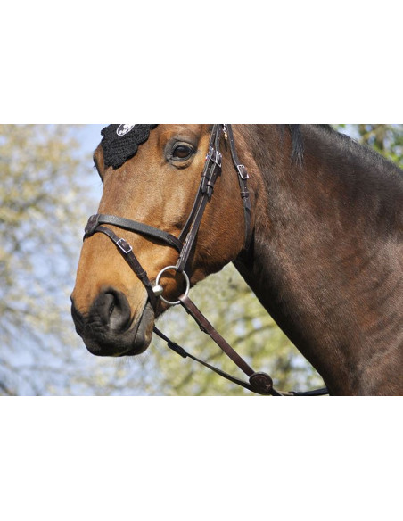 Bridon IHWT Evolution Soft T havane