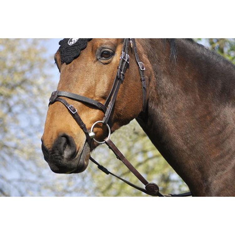 Bridon IHWT Evolution Soft T havane