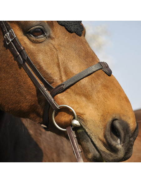 Bridon IHWT Evolution Soft T havane