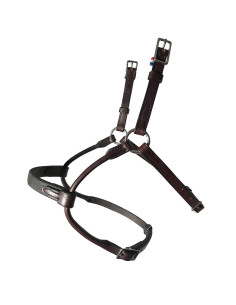 Bridon IHWT Evolution Infinity havane 2