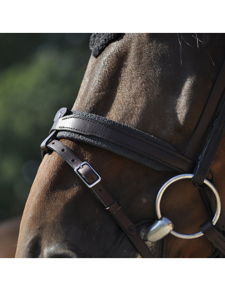 Bridon IHWT Evolution Contact havane