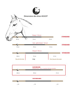 Rênes IHWT Adjust Grip 2