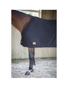 Chemise Paddock "Séchante" 2