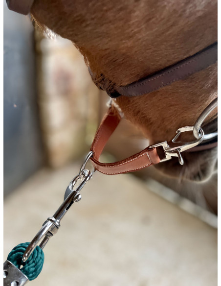 Alliance De Mors Penelope "Alliance" Cognac