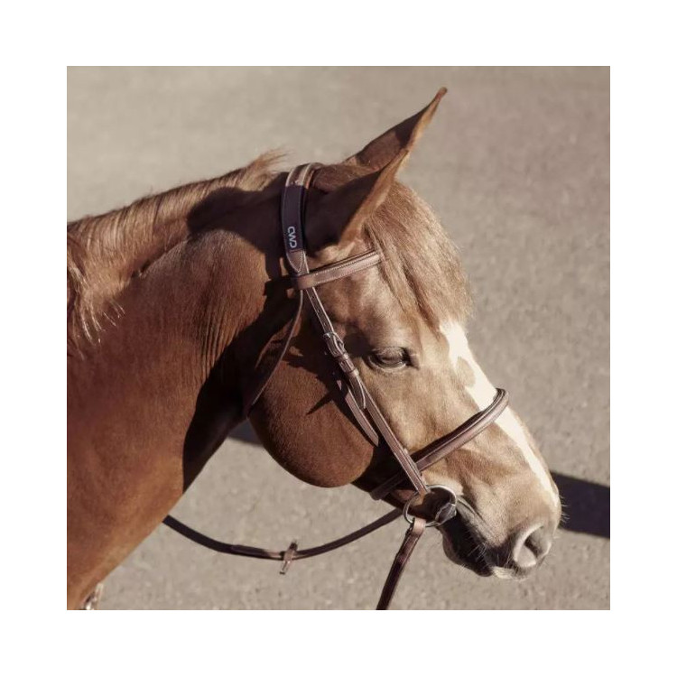 Bridon CWD doublé 1/2 rond muserolle française surpiqué