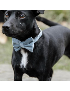 Nœud Papillon Kentucky Velvet Rose Tendre 2