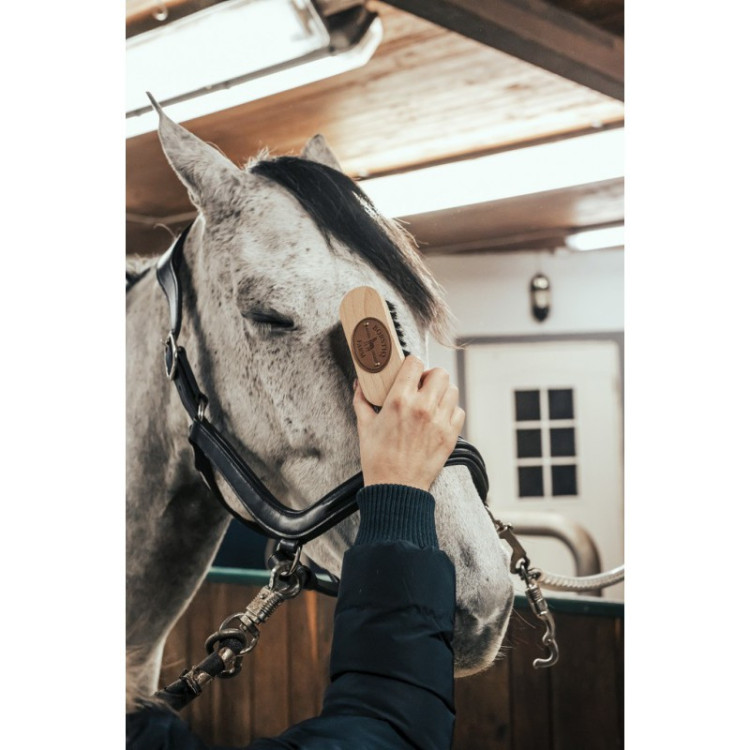 Brosse De Tête Borstiq