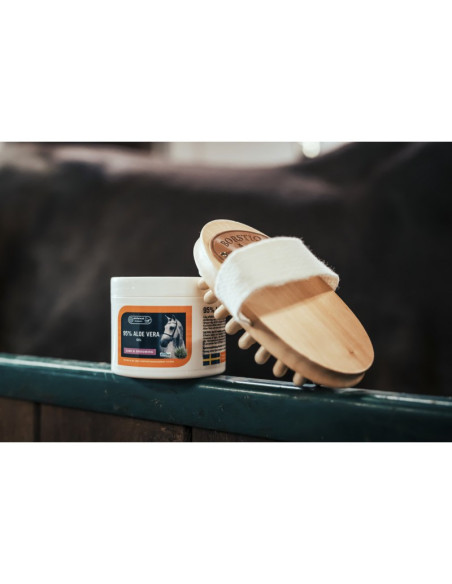 Brosse De Massage En Hêtre Borstiq