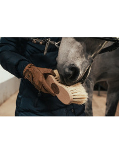 Infiniti" Cactus/Crins Borstiq Brush 2