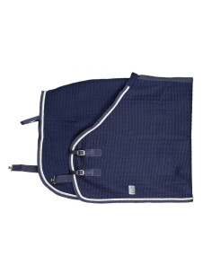 Chemise Greenfield Thermo Marine/marine-blanc/argenté