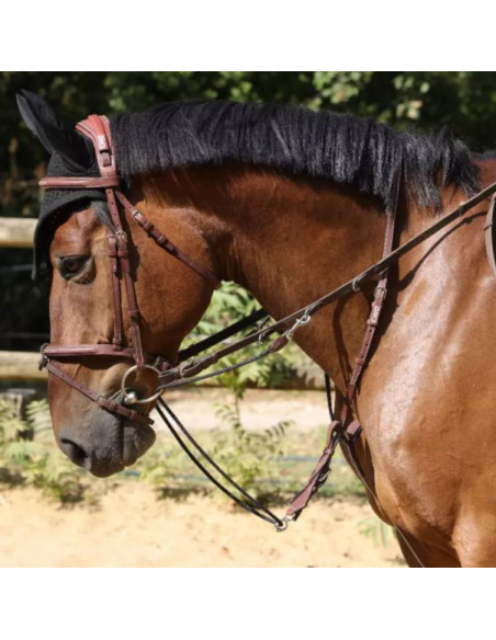 Enrênement CWD Howlet